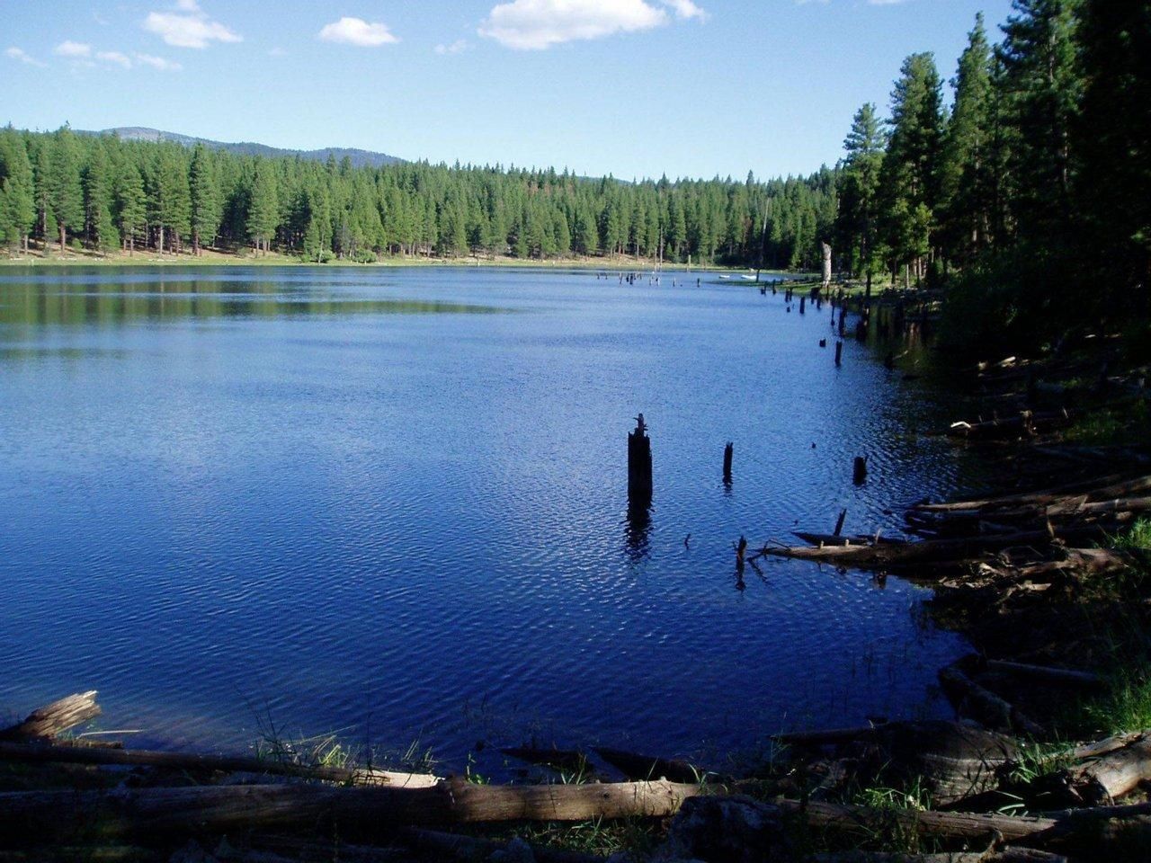 Davis Creek, Modoc County, CA Farms and Ranches, Timberland Property