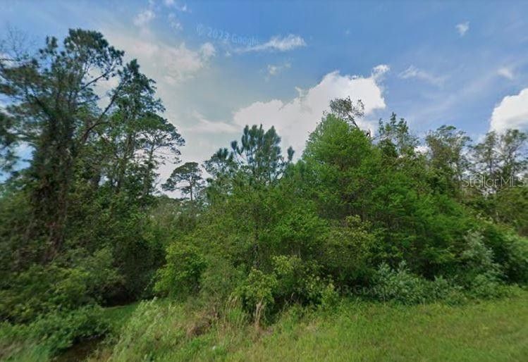 Lake Helen, Volusia County, FL Farms and Ranches, Homesites for sale