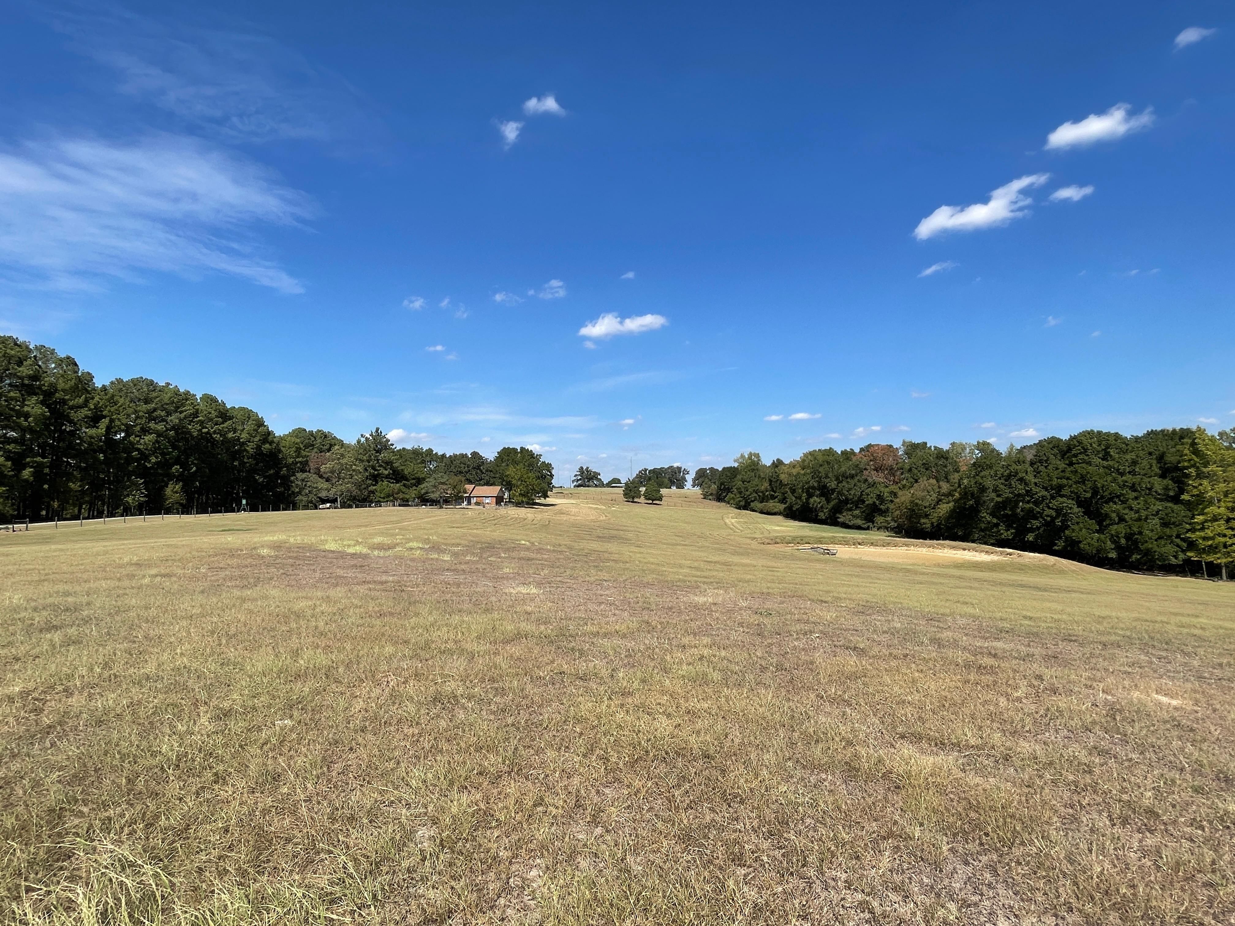 Buffalo, Leon County, TX Farms and Ranches, Hunting Property, House for