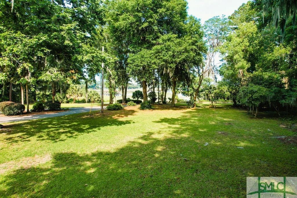Savannah, Chatham County, GA Undeveloped Land, Lakefront Property, Waterfront Property