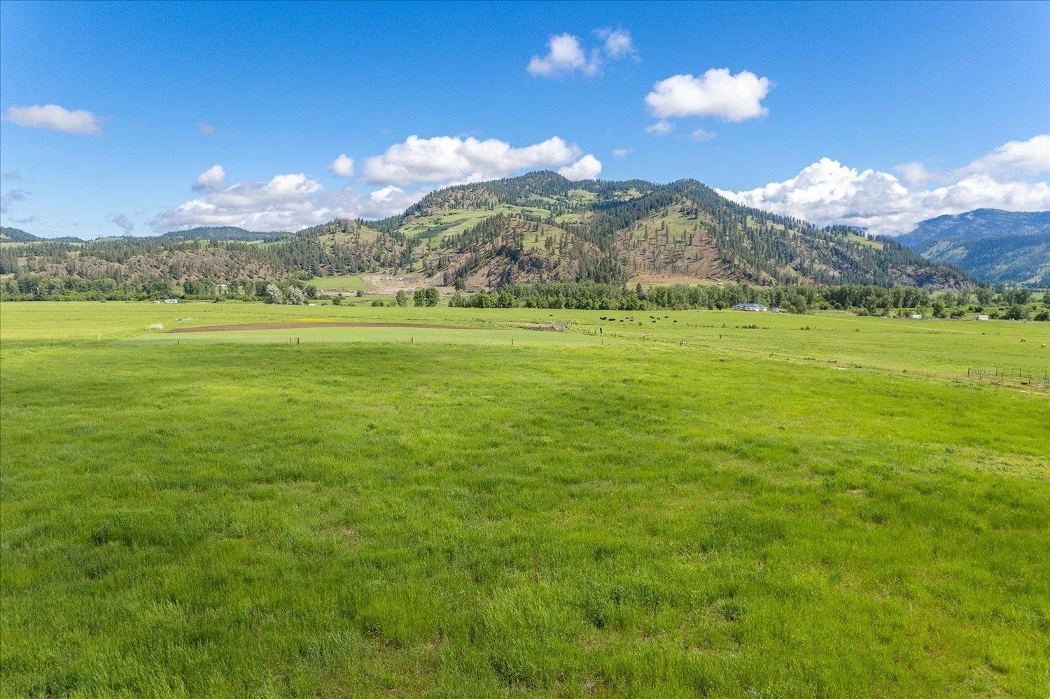 Kettle Falls, Stevens County, WA Undeveloped Land for sale Property ID