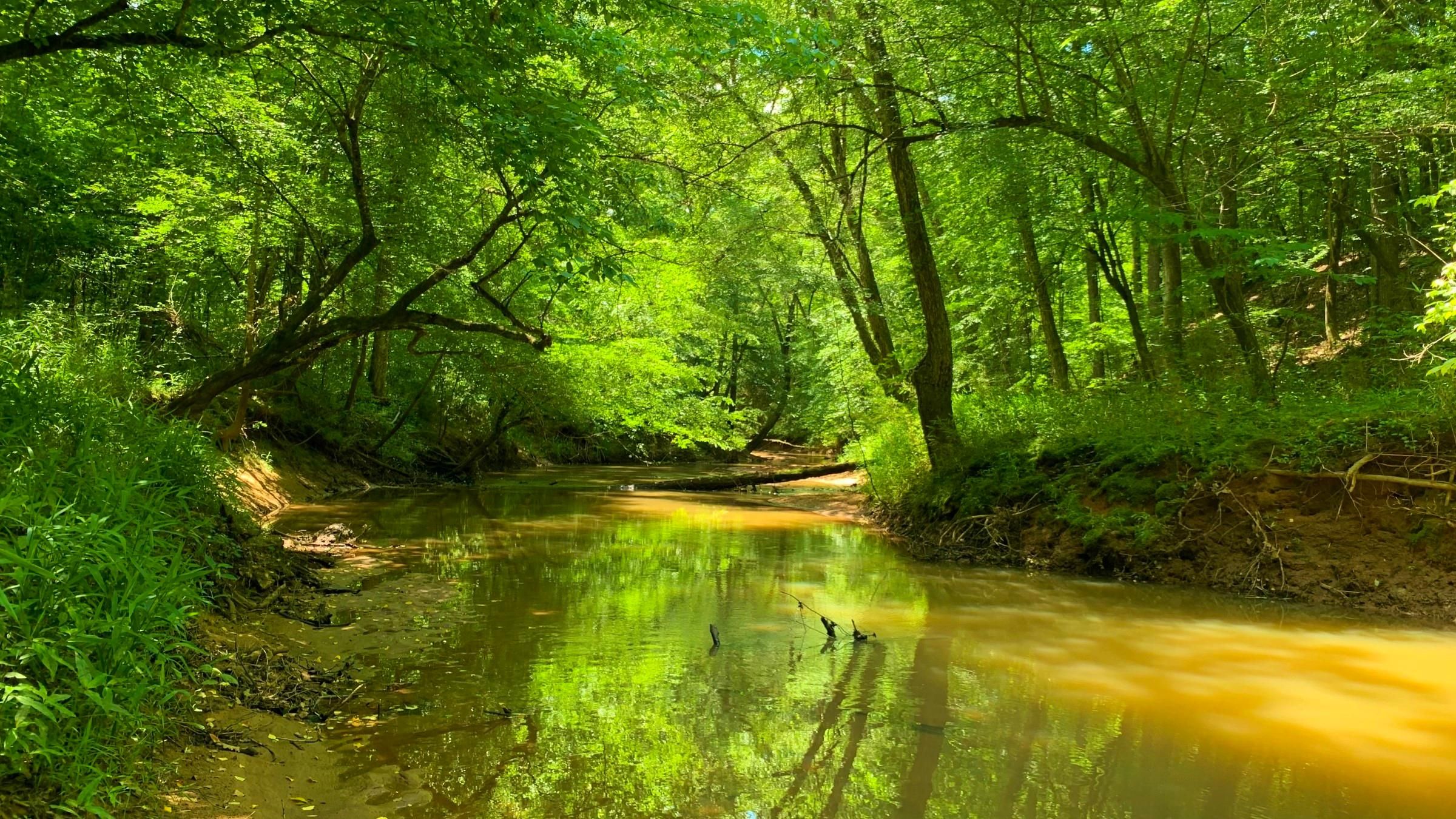 Crawfordville, Taliaferro County, GA Timberland Property, Hunting