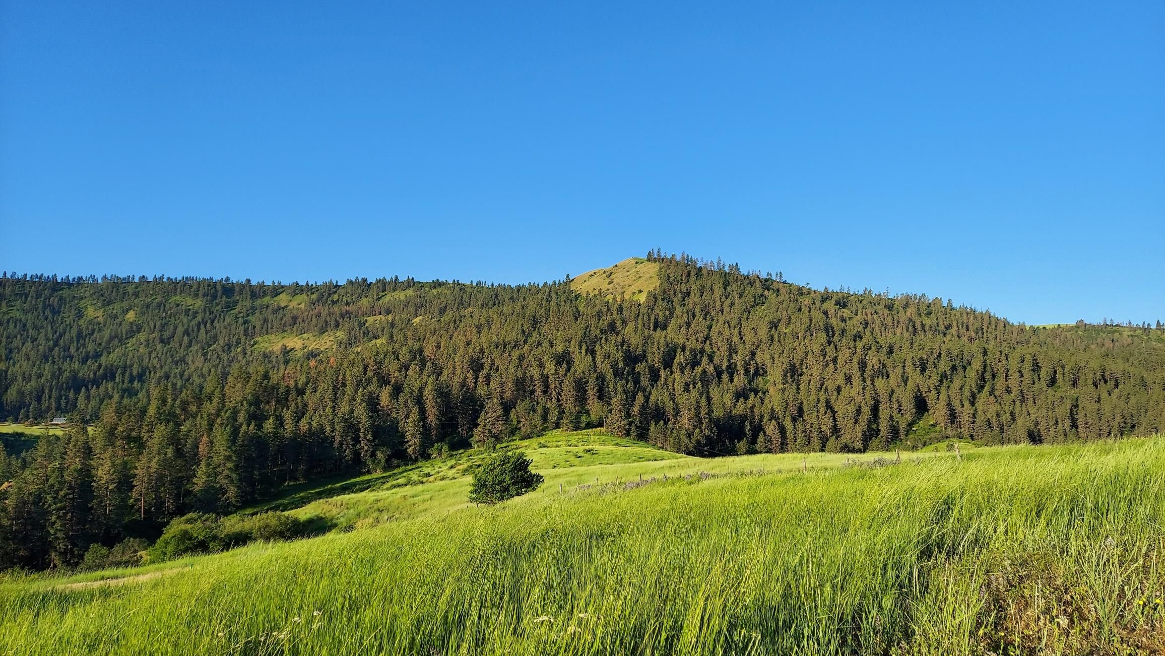 Lenore, Nez Perce County, ID Recreational Property, Hunting Property