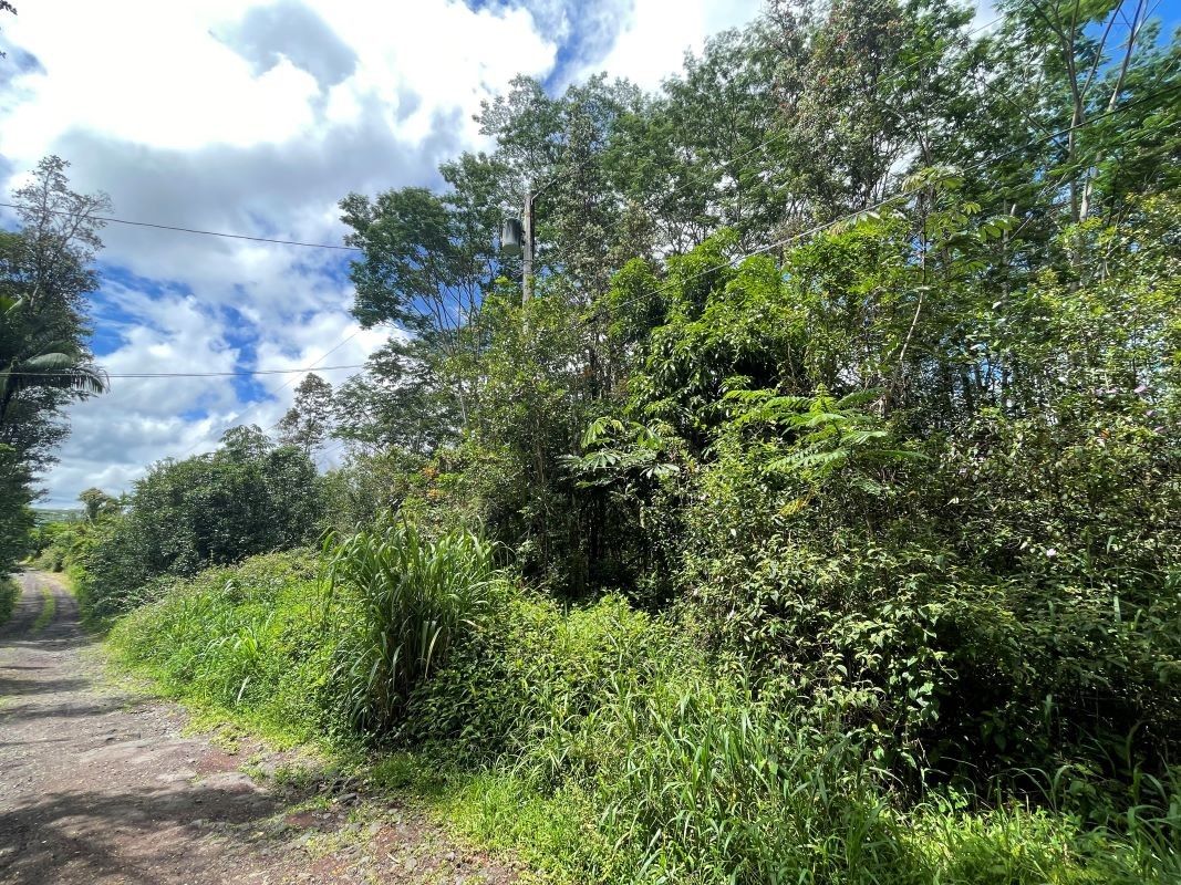 Kurtistown, Hawaii County, HI Farms and Ranches, Homesites for sale Property ID 416616947