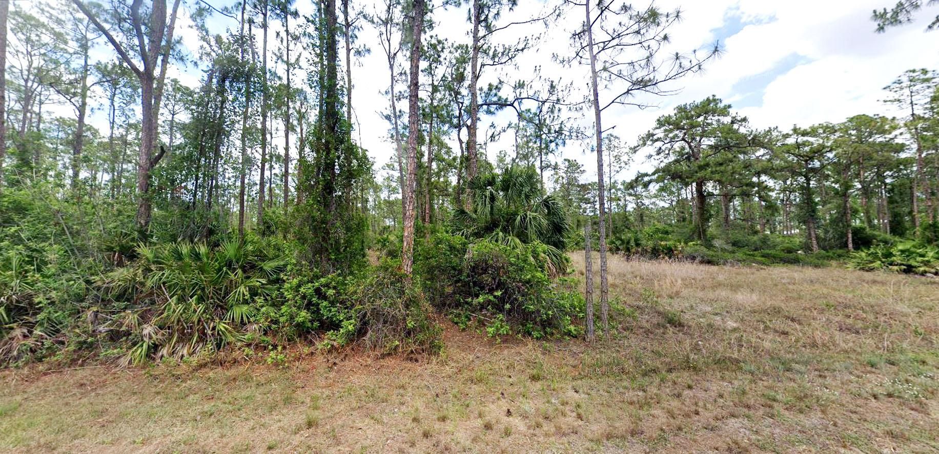 Alva, Lee County, FL Recreational Property, Undeveloped Land, Homesites for sale Property ID