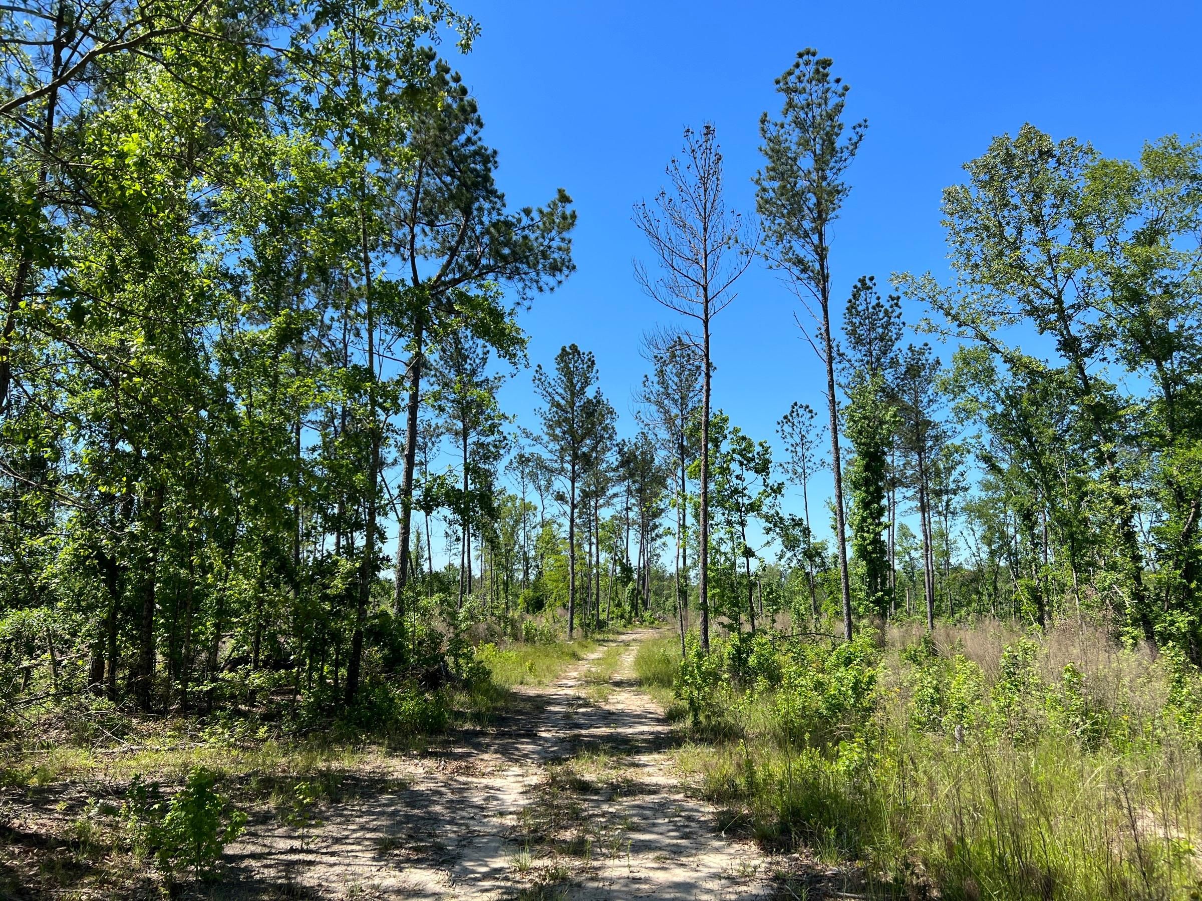 Sparta, Hancock County, GA Recreational Property, Timberland Property