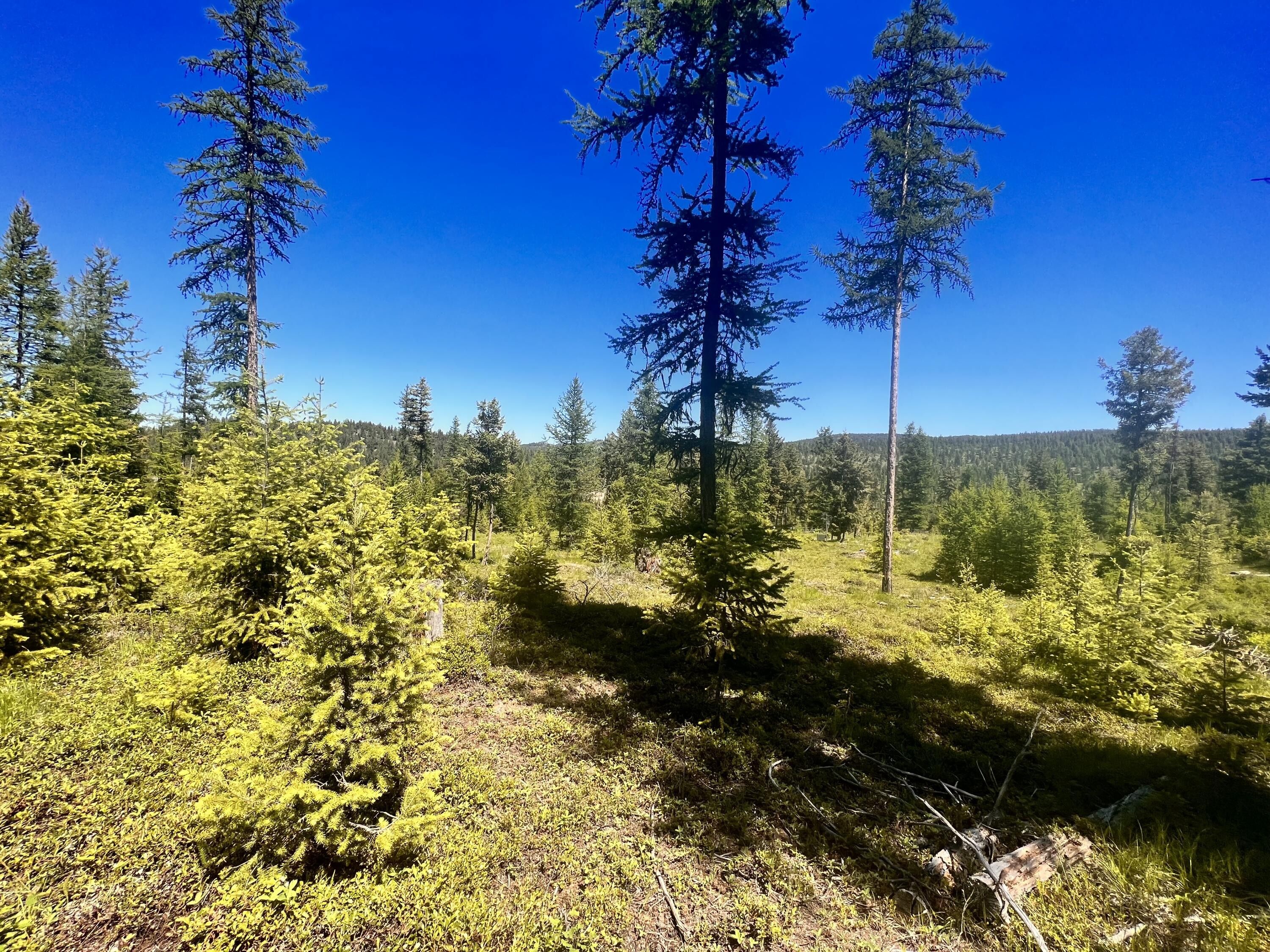 101 GRAFTON RD, Wauconda, WA 98859 MLS 42024 LandWatch