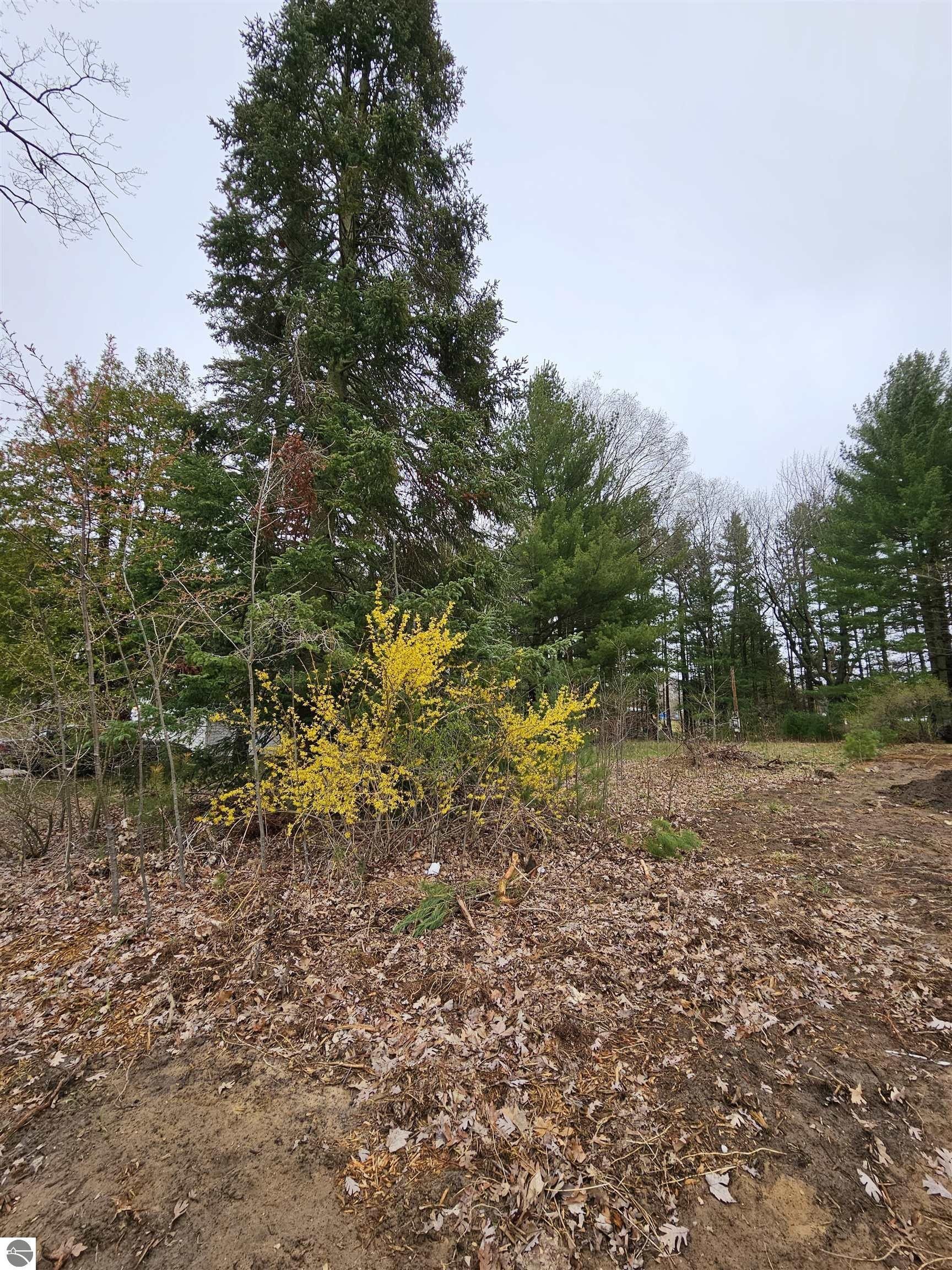 Lake City, Missaukee County, MI Farms and Ranches, Homesites for sale