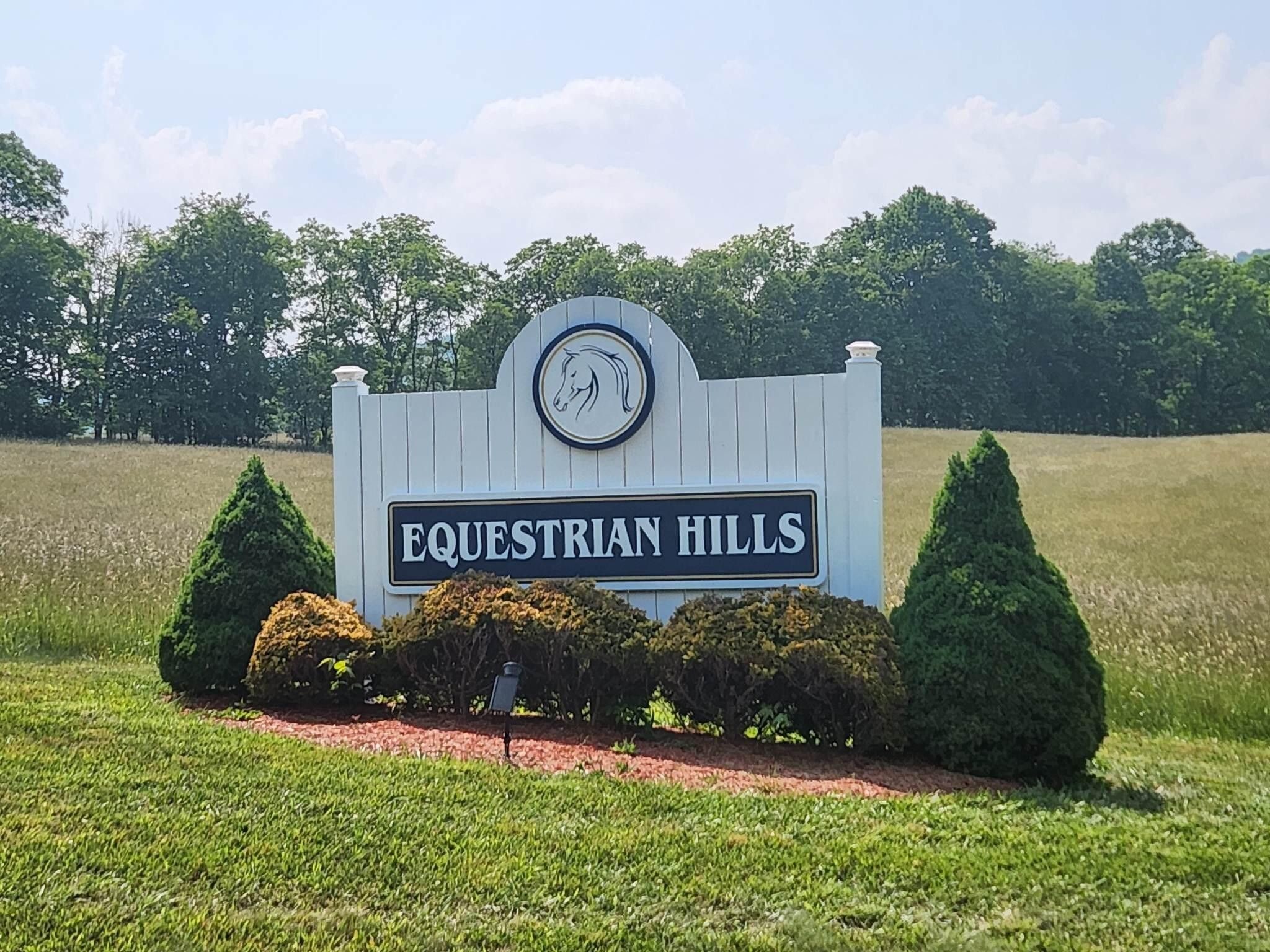 Catawba, Roanoke County, VA Undeveloped Land for sale Property ID