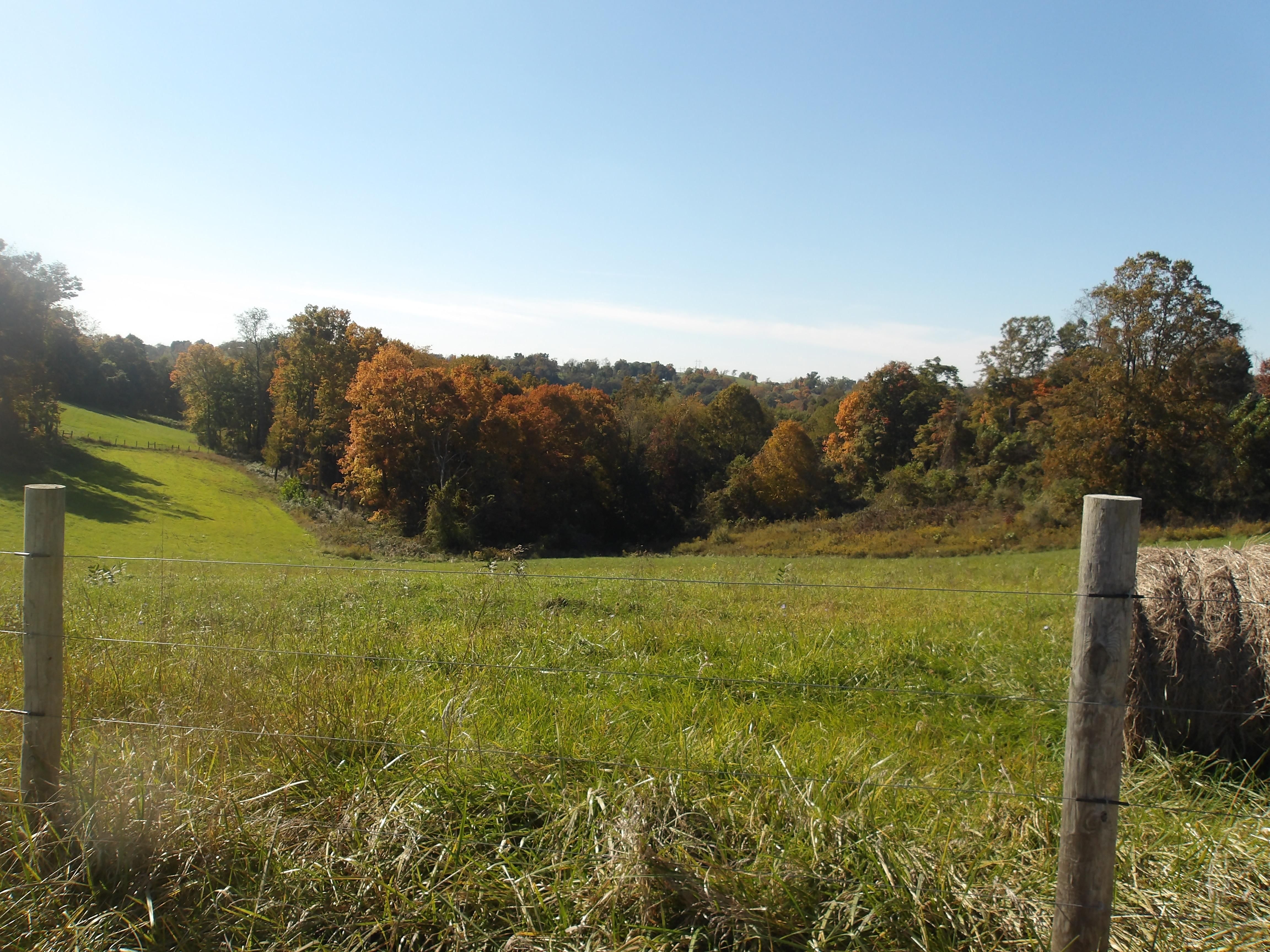 2715 State Route 152, Dillonvale, OH 43917 LandWatch