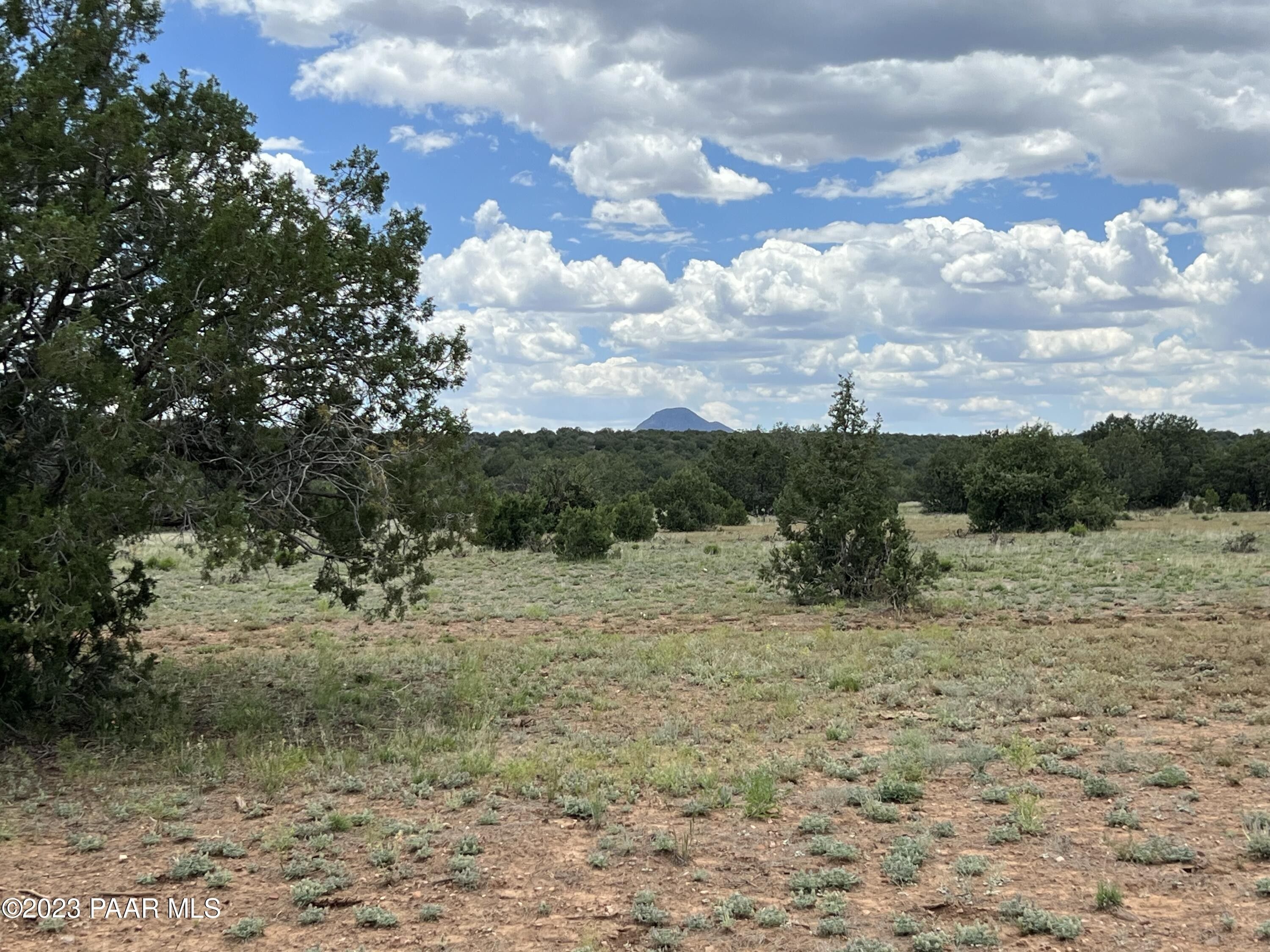 Ash Fork, Yavapai County, AZ Farms and Ranches for sale Property ID