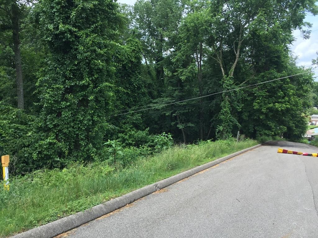 Wheeling, Ohio County, WV Farms and Ranches, Homesites for sale Property ID 416619287 LandWatch