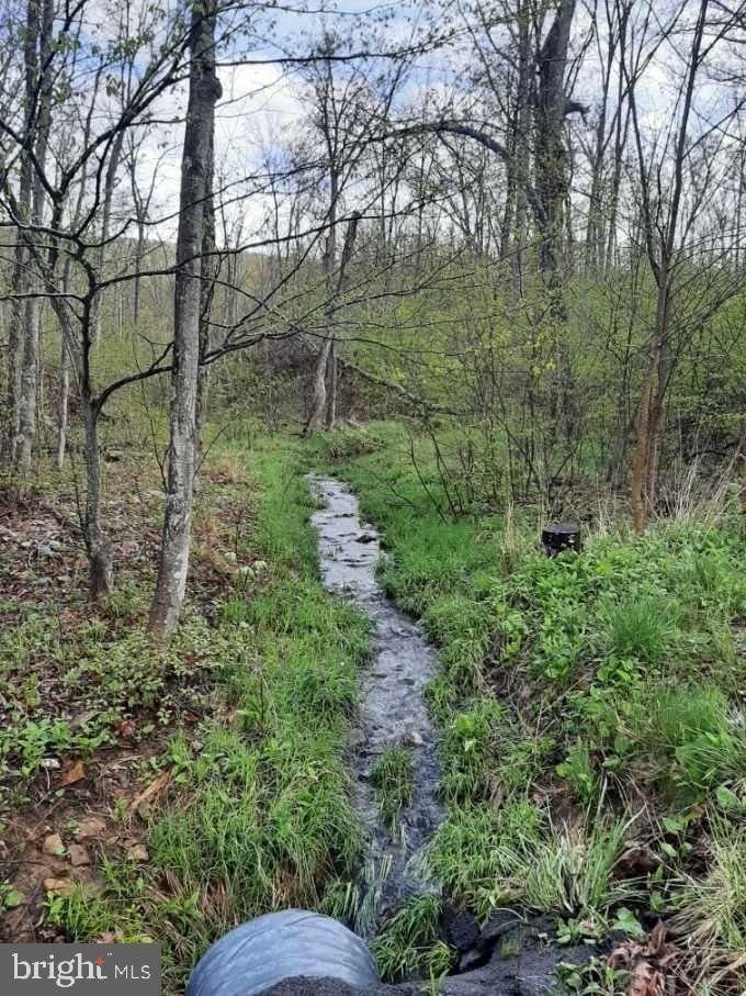 Bedford, Bedford County, PA Undeveloped Land for sale Property ID