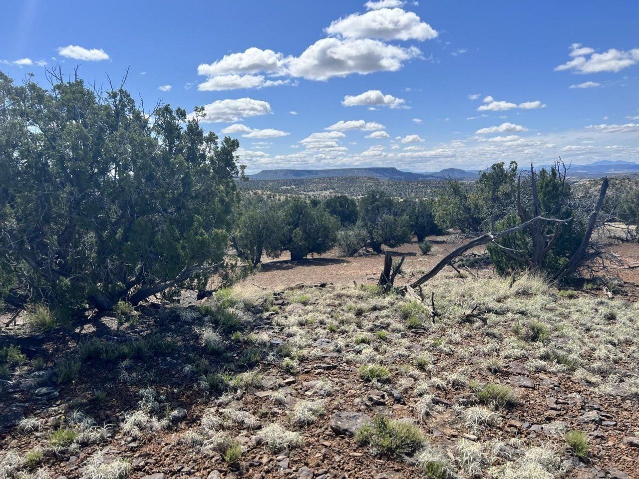 Fence Lake, Cibola County, NM Farms and Ranches, Recreational Property for sale Property ID