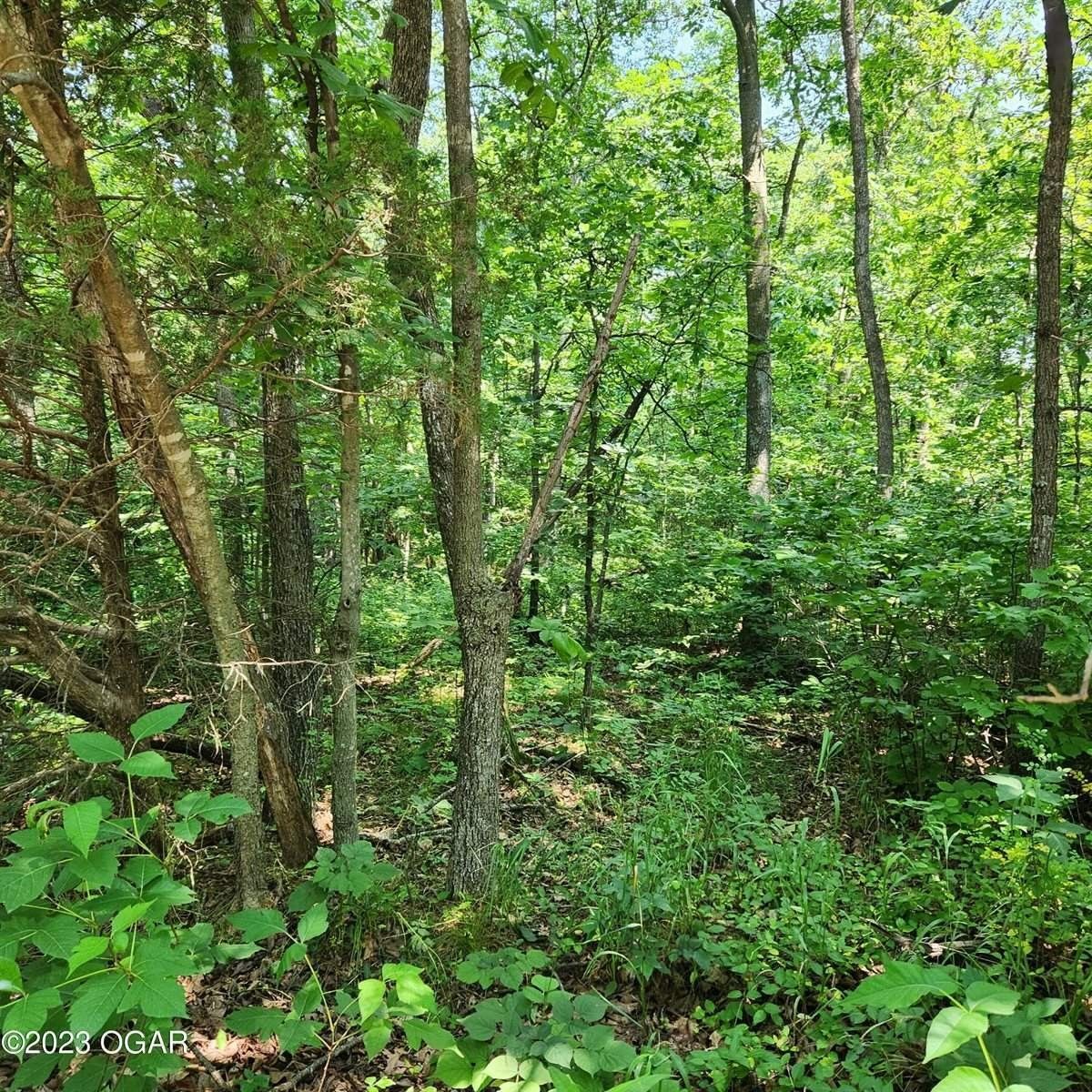 Neosho, Newton County, MO Farms and Ranches, Homesites for sale