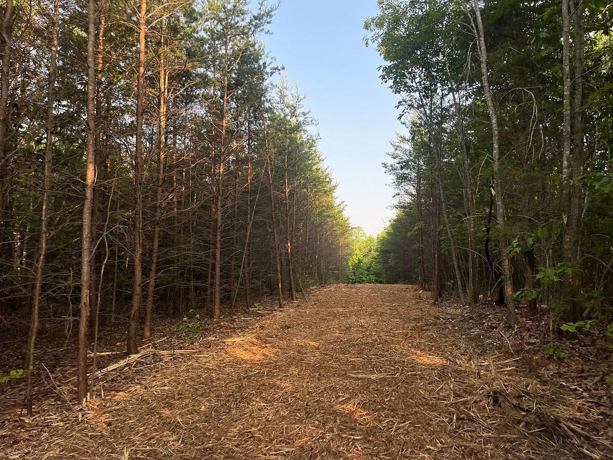 Mineral, Orange County, VA Timberland Property, Undeveloped Land