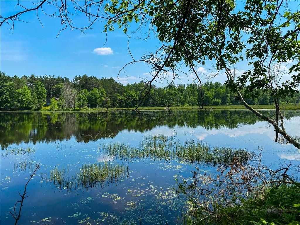 Trego, Washburn County, WI Undeveloped Land, Lakefront Property