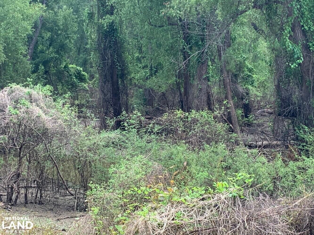 Monterey, Concordia Parish, LA Recreational Property, Undeveloped Land