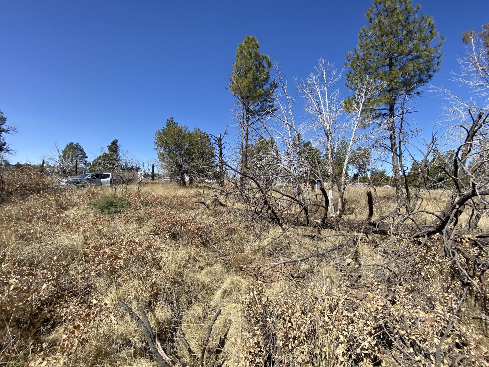 Timberon, Otero County, NM Recreational Property, Homesites for sale