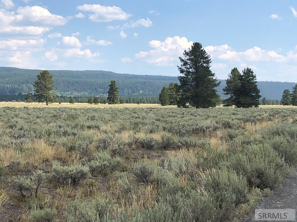 Island Park, Fremont County, ID Farms and Ranches for sale Property ID