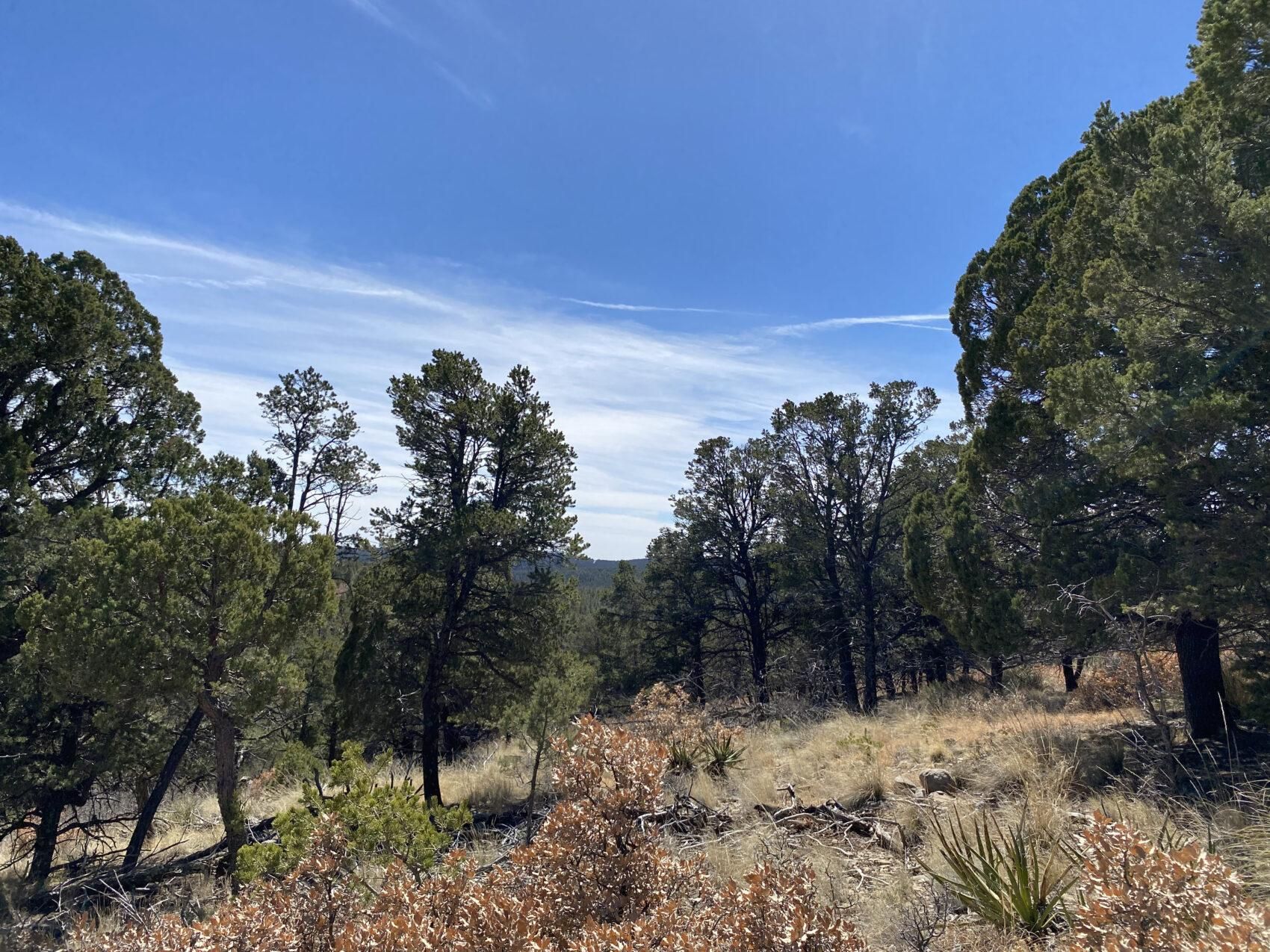Timberon, Otero County, NM Recreational Property, Homesites for sale