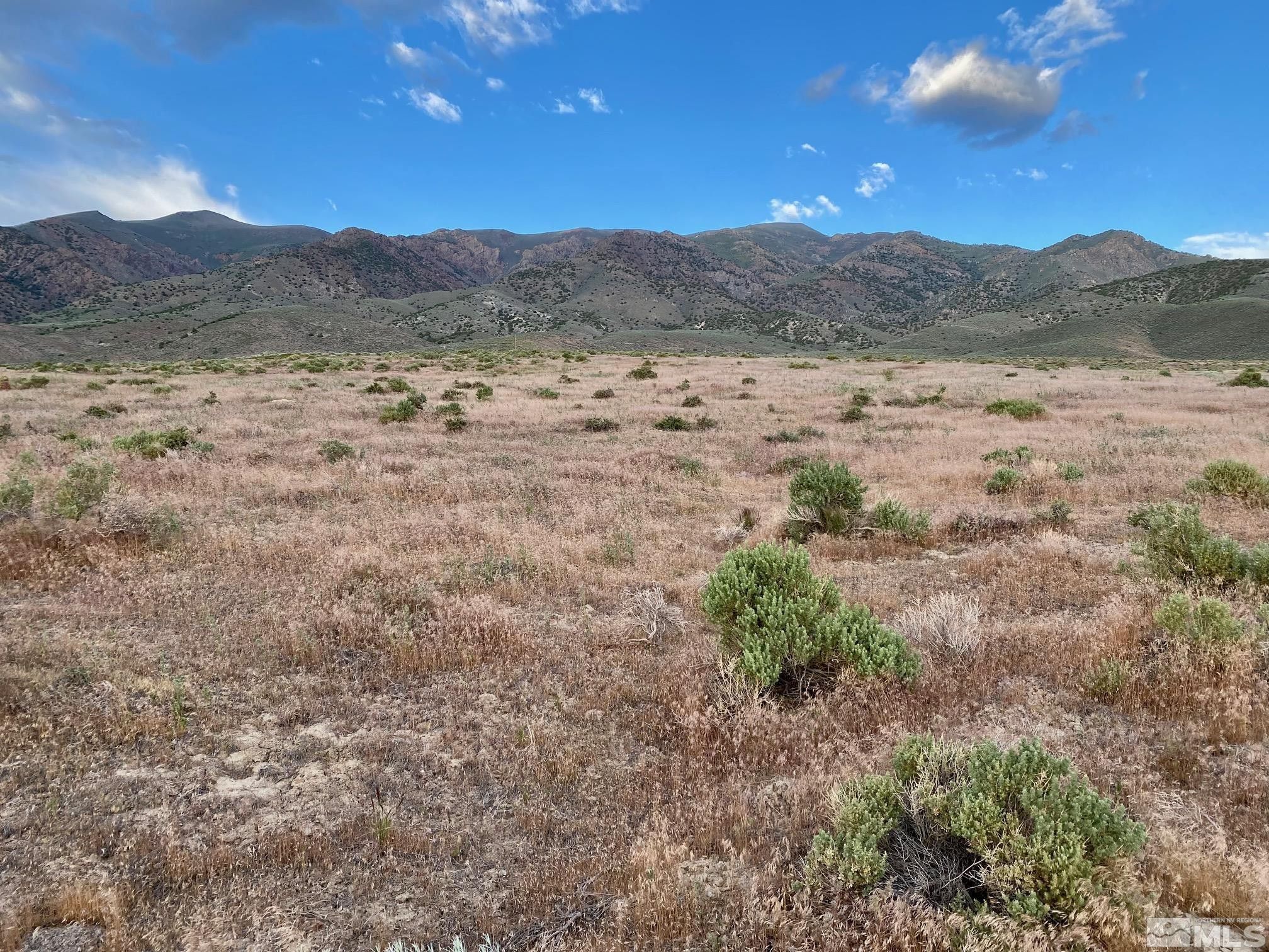 Lovelock, Pershing County, NV Farms and Ranches, Homesites for sale