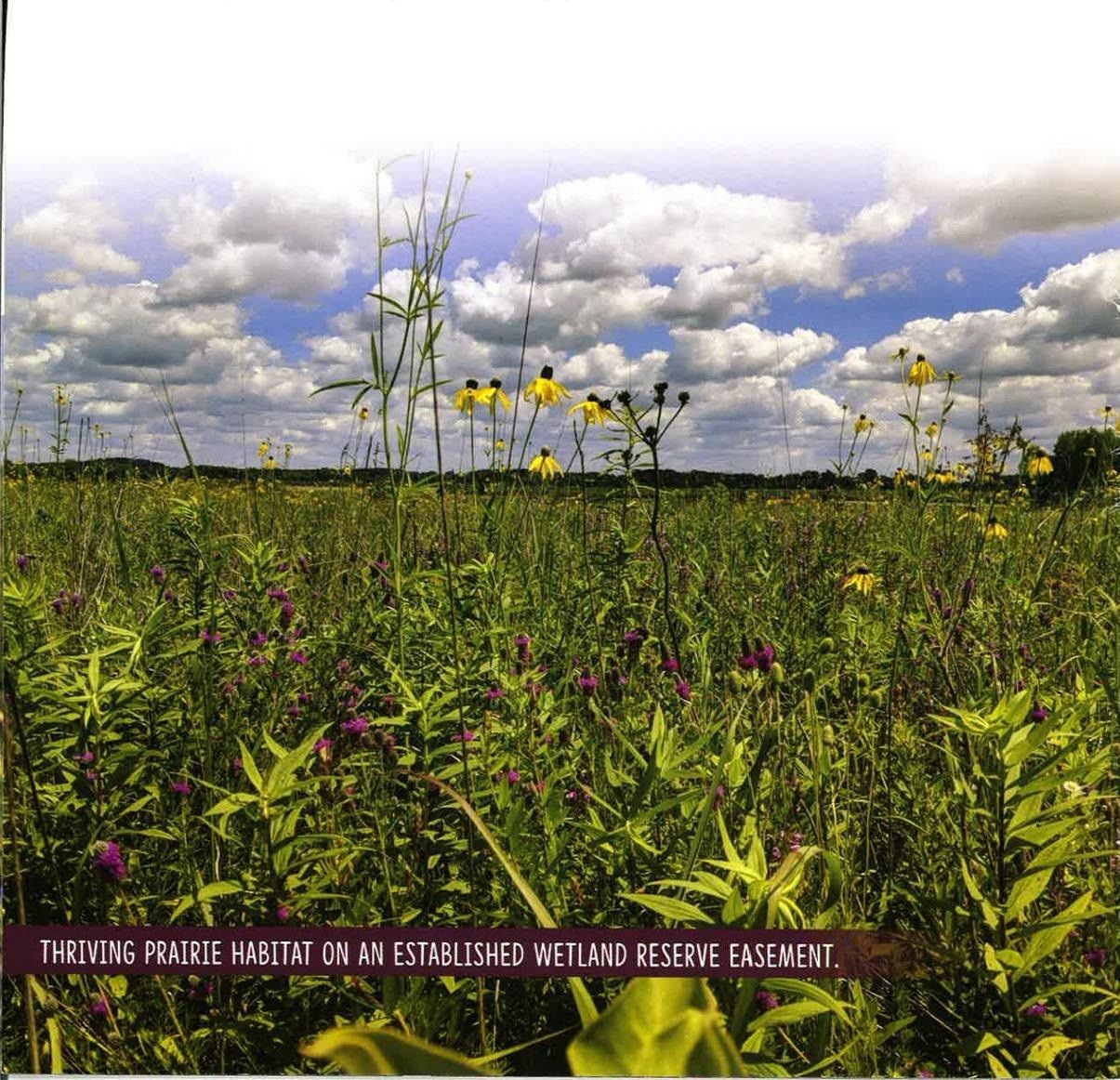 Brodhead, Rock County, WI Undeveloped Land, Lakefront Property