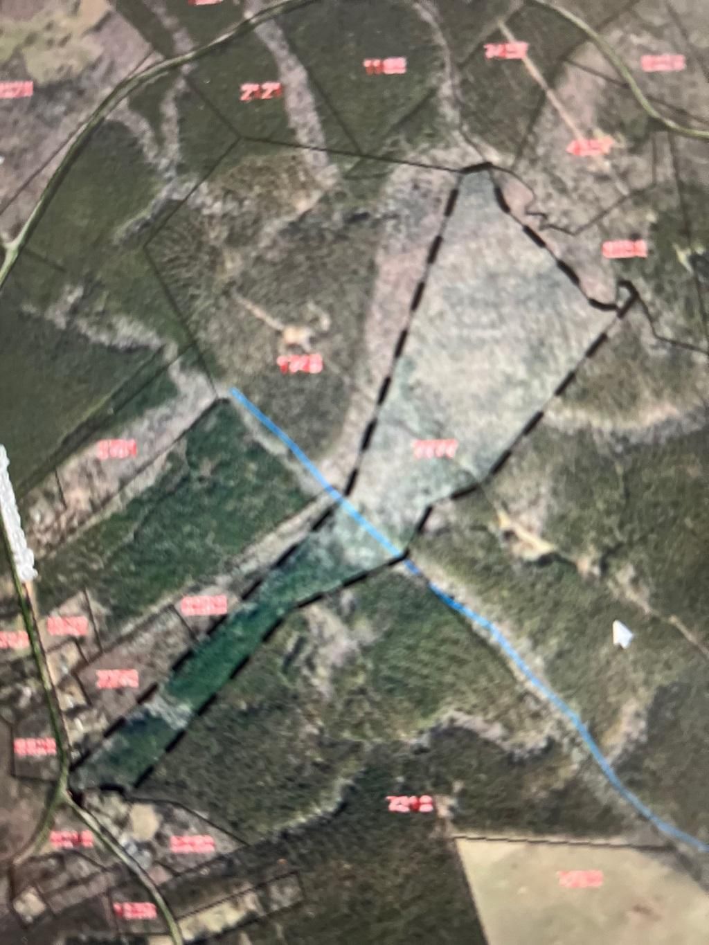 Troy, Montgomery County, NC Timberland Property, Hunting Property for