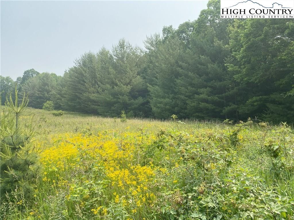 Sparta, Alleghany County, NC Farms and Ranches, Homesites for sale