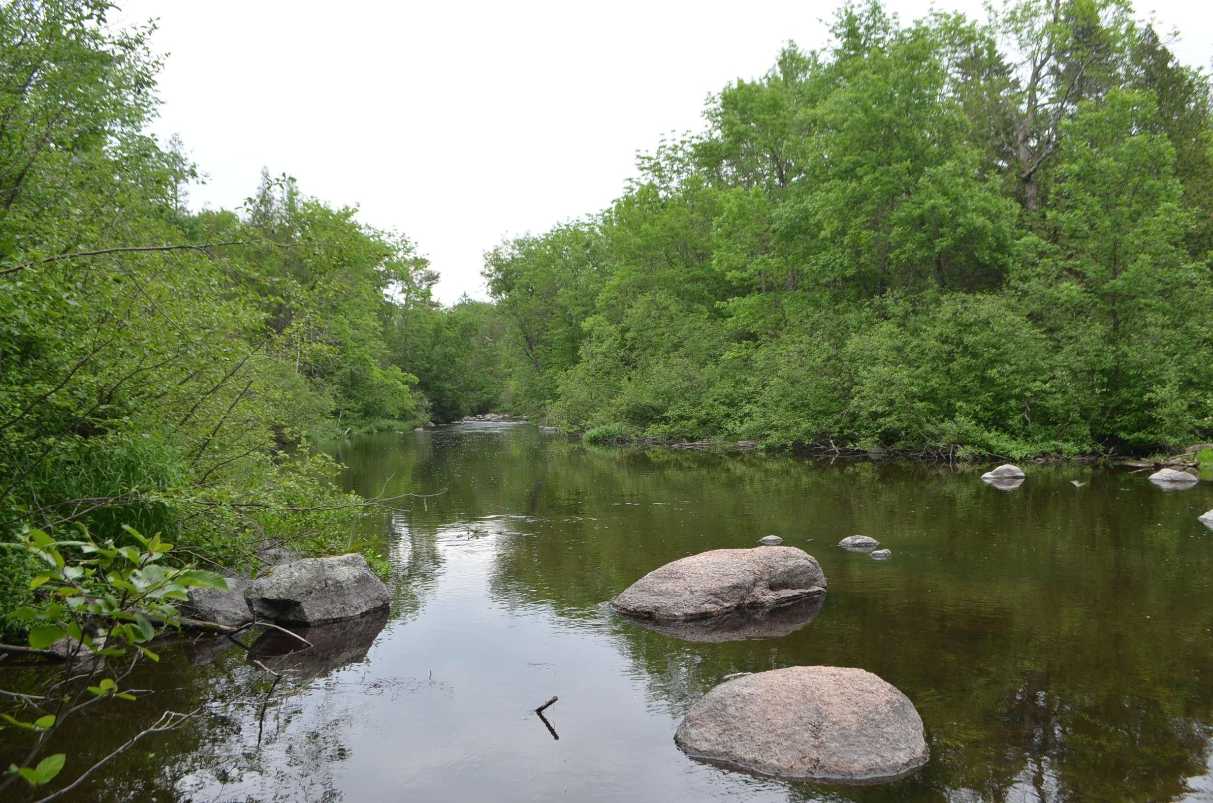 Hatley, Marathon County, WI Recreational Property, Hunting Property for sale Property ID