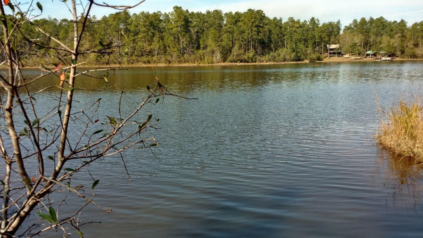 Crestview, Okaloosa County, FL Farms and Ranches, Homesites for sale