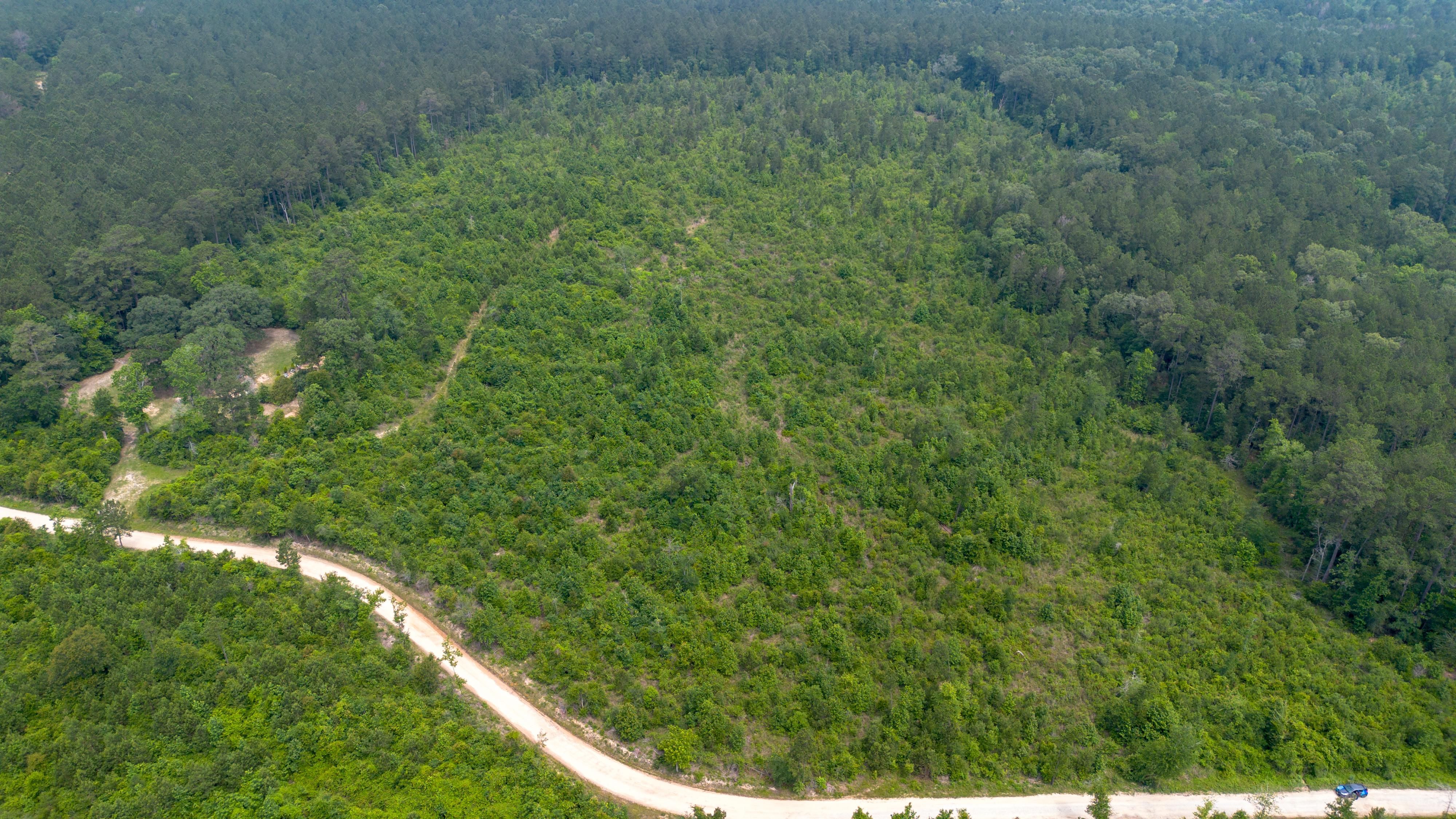 TBD 1 Jenkins Rd, Oakhurst, TX 77359 MLS 47827060 LandWatch