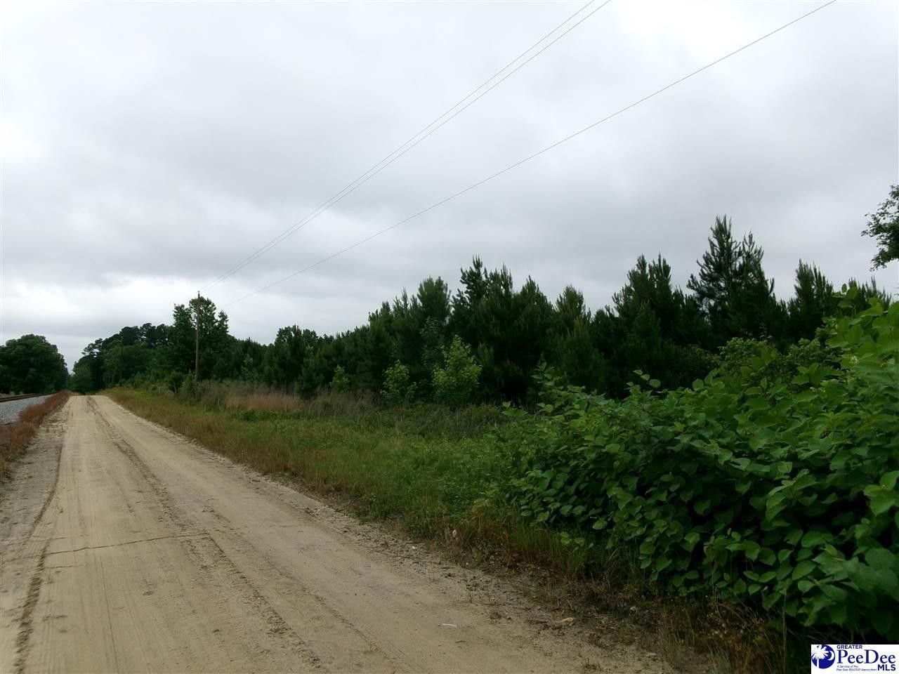 Mullins, Marion County, SC Farms and Ranches for sale Property ID