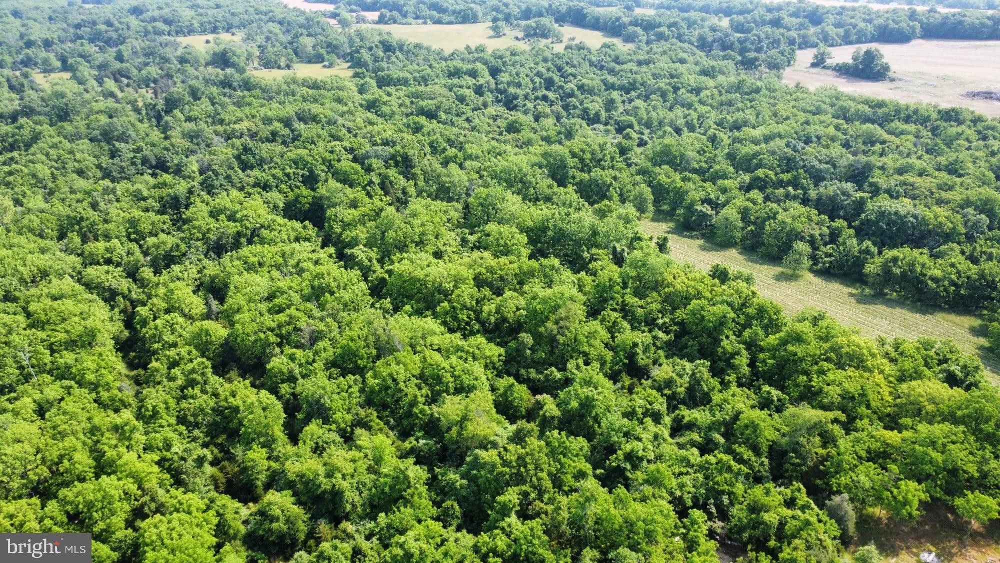 Shenandoah Junction, Jefferson County, WV Farms and Ranches for sale