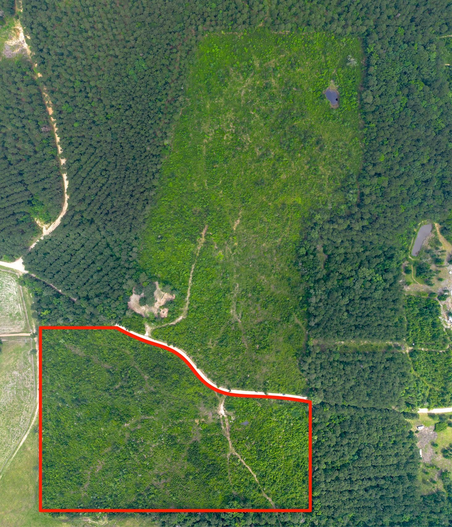 Oakhurst, San Jacinto County, TX Farms and Ranches, Undeveloped Land