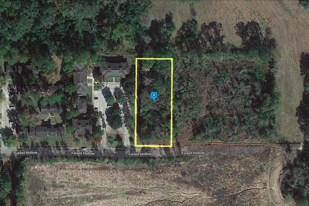 Livingston, Polk County, TX Recreational Property, Undeveloped Land