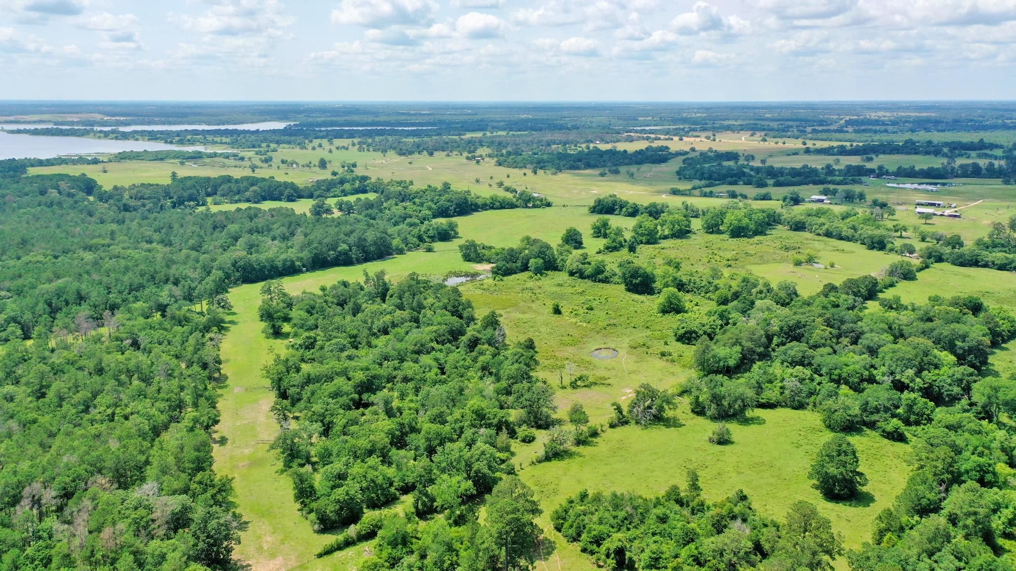 Bedias, Grimes County, TX Recreational Property, Undeveloped Land for