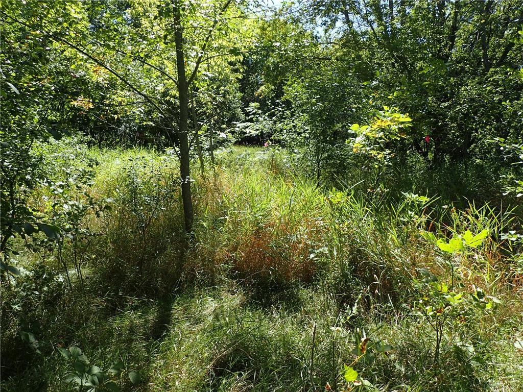 Howard Lake, Wright County, MN Farms and Ranches, Homesites for sale