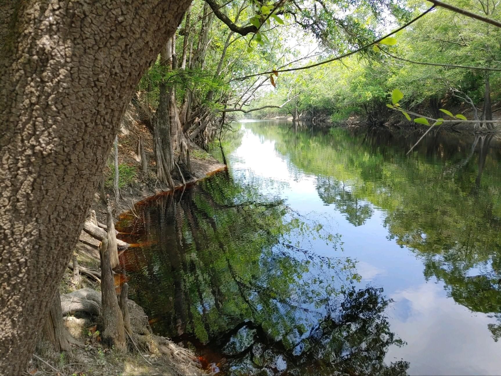 Lot 1 Baker Blvd/County Road 4, Saint GA 31562 MLS 20126635