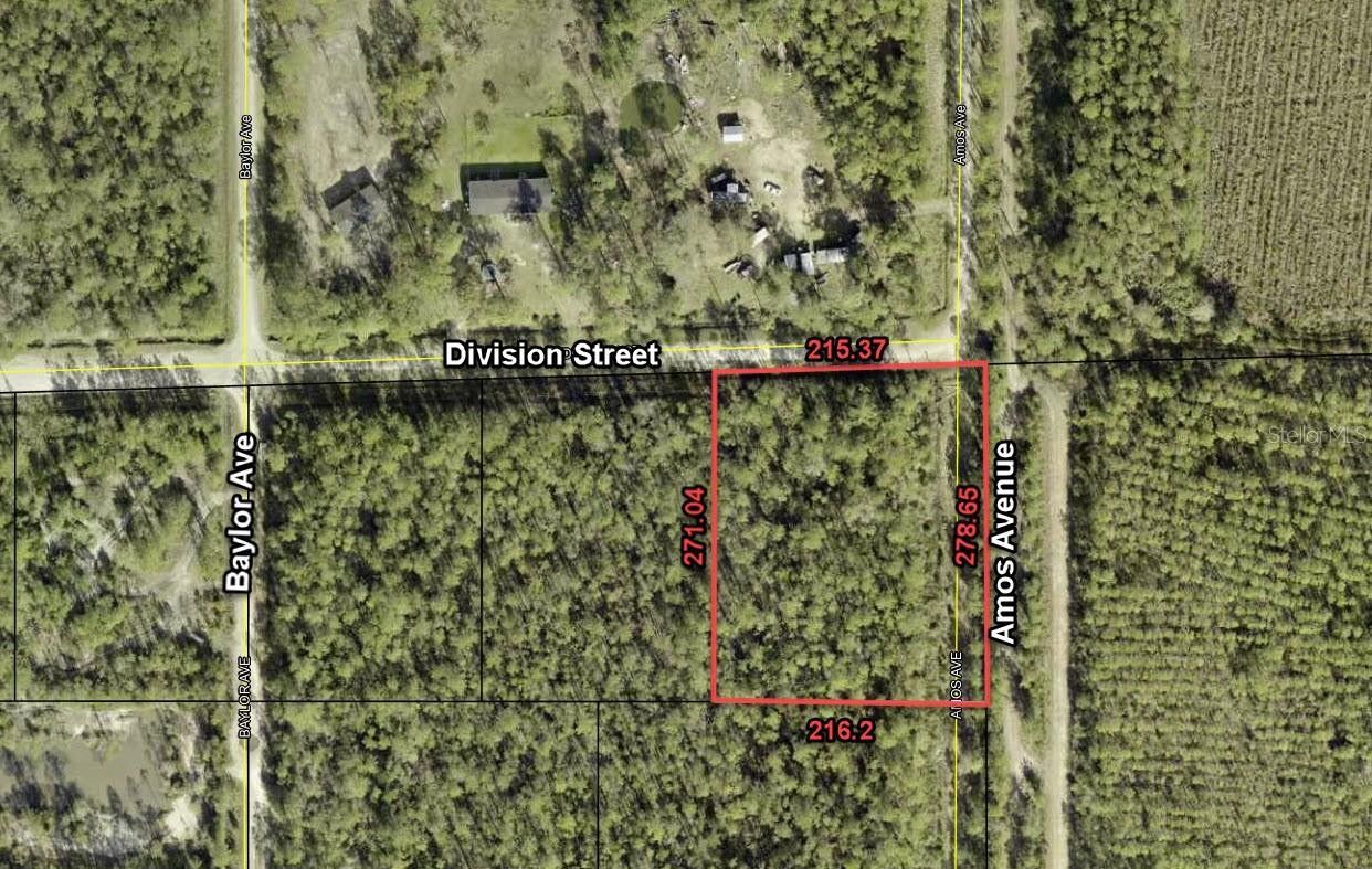 Hastings, Flagler County, FL Farms and Ranches, Homesites for sale