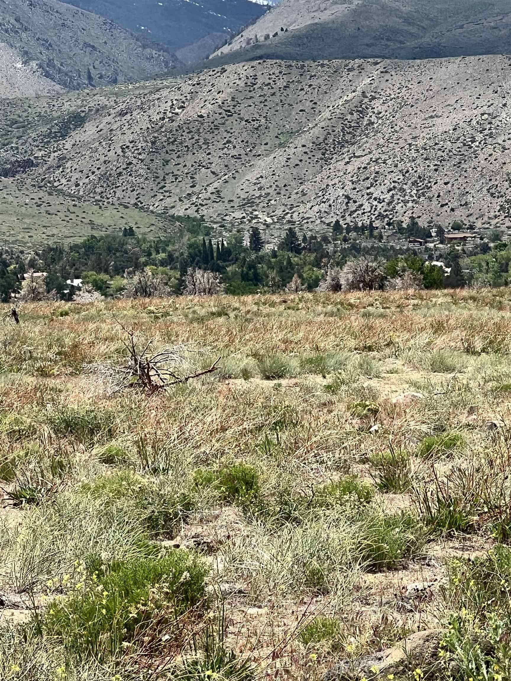 Coleville, Mono County, CA Undeveloped Land for sale Property ID 416127267 LandWatch