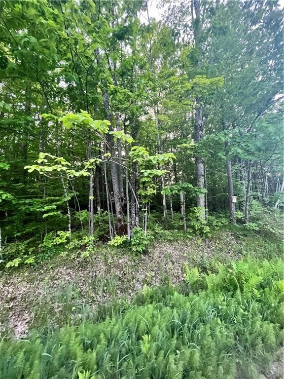Winter, Sawyer County, WI Undeveloped Land for sale Property ID