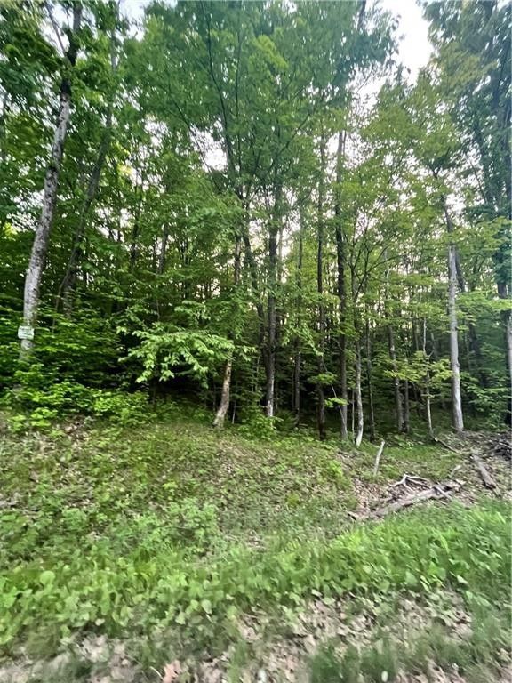 Winter, Sawyer County, WI Farms and Ranches for sale Property ID