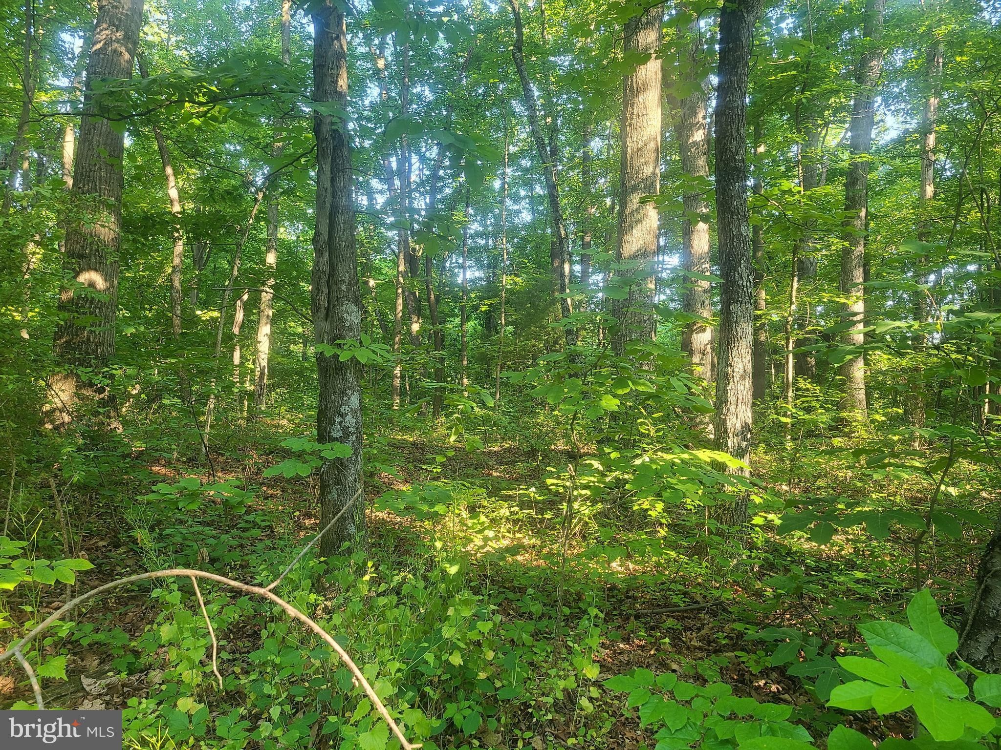 Berkeley Springs, County, WV Farms and Ranches, Homesites for