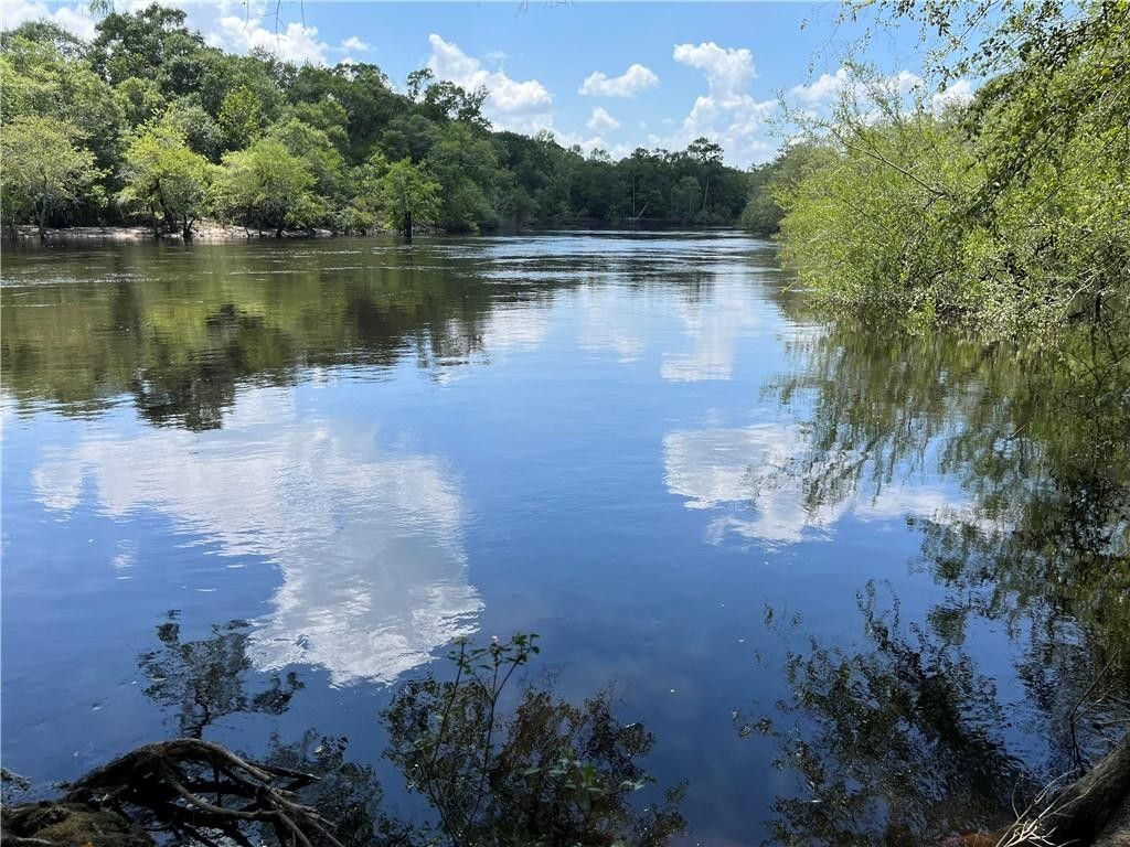 Hortense, Brantley County, GA Undeveloped Land, Lakefront Property