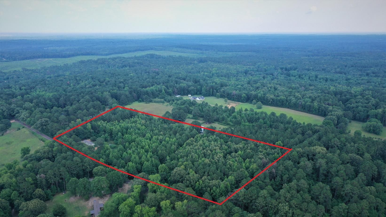146 County Road 4454, Bivins, TX 75555 MLS 20233282 LandWatch