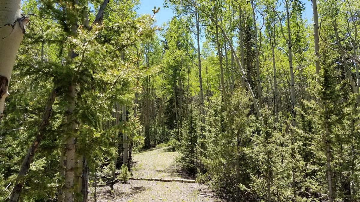 15 acres in Cripple Creek, CO, 80813 LandWatch