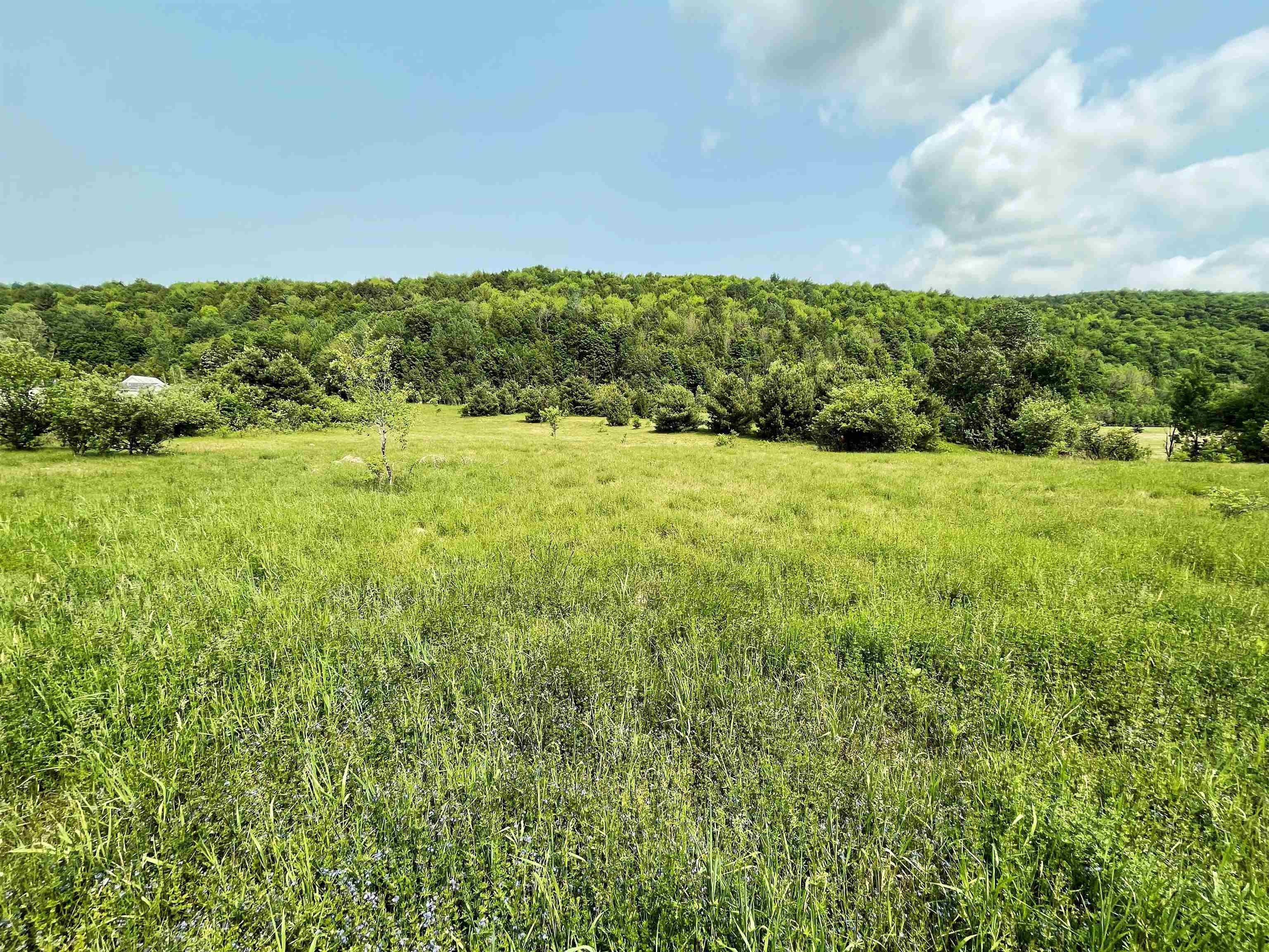 Albany, Orleans County, VT Farms and Ranches for sale Property ID