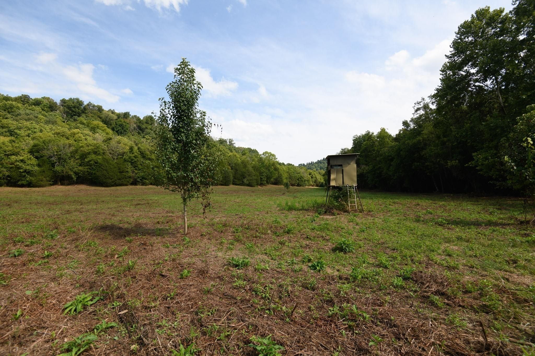 Hickman, Smith County, TN Farms and Ranches, Hunting Property for sale