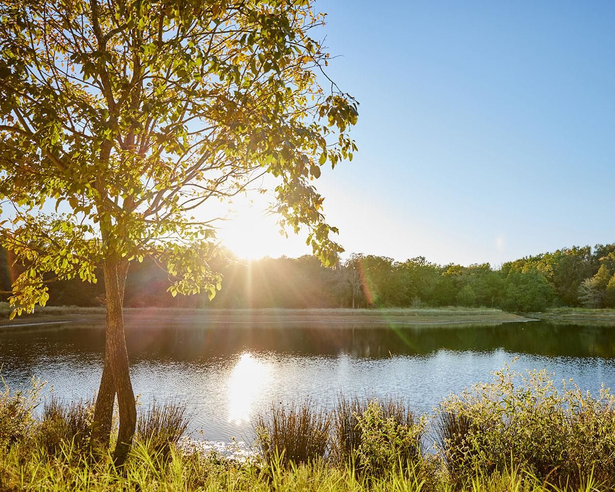 12357 FM1469, Marquez, TX 77865 LandWatch